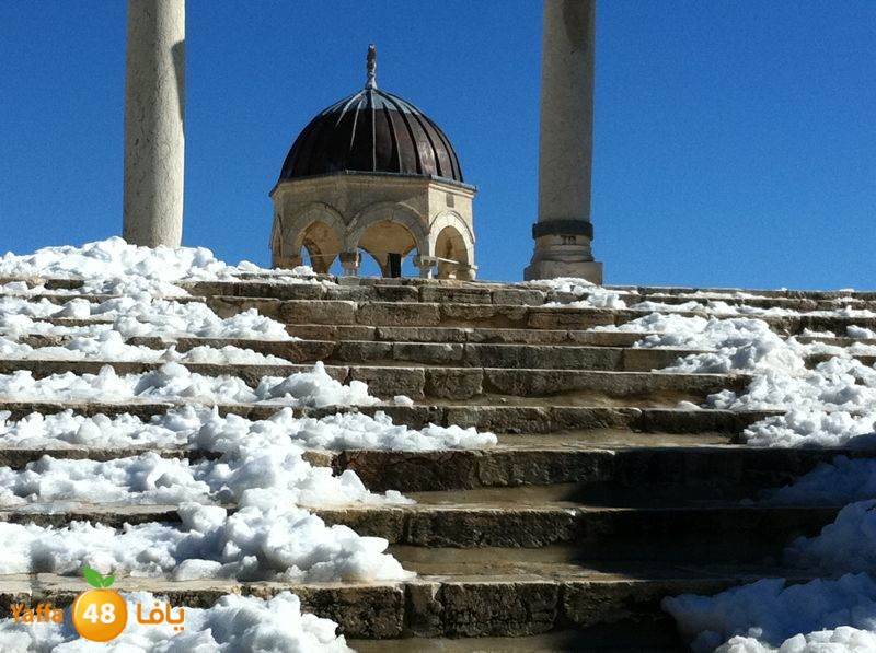 yaffa byareq (3).jpg